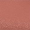 Achillea